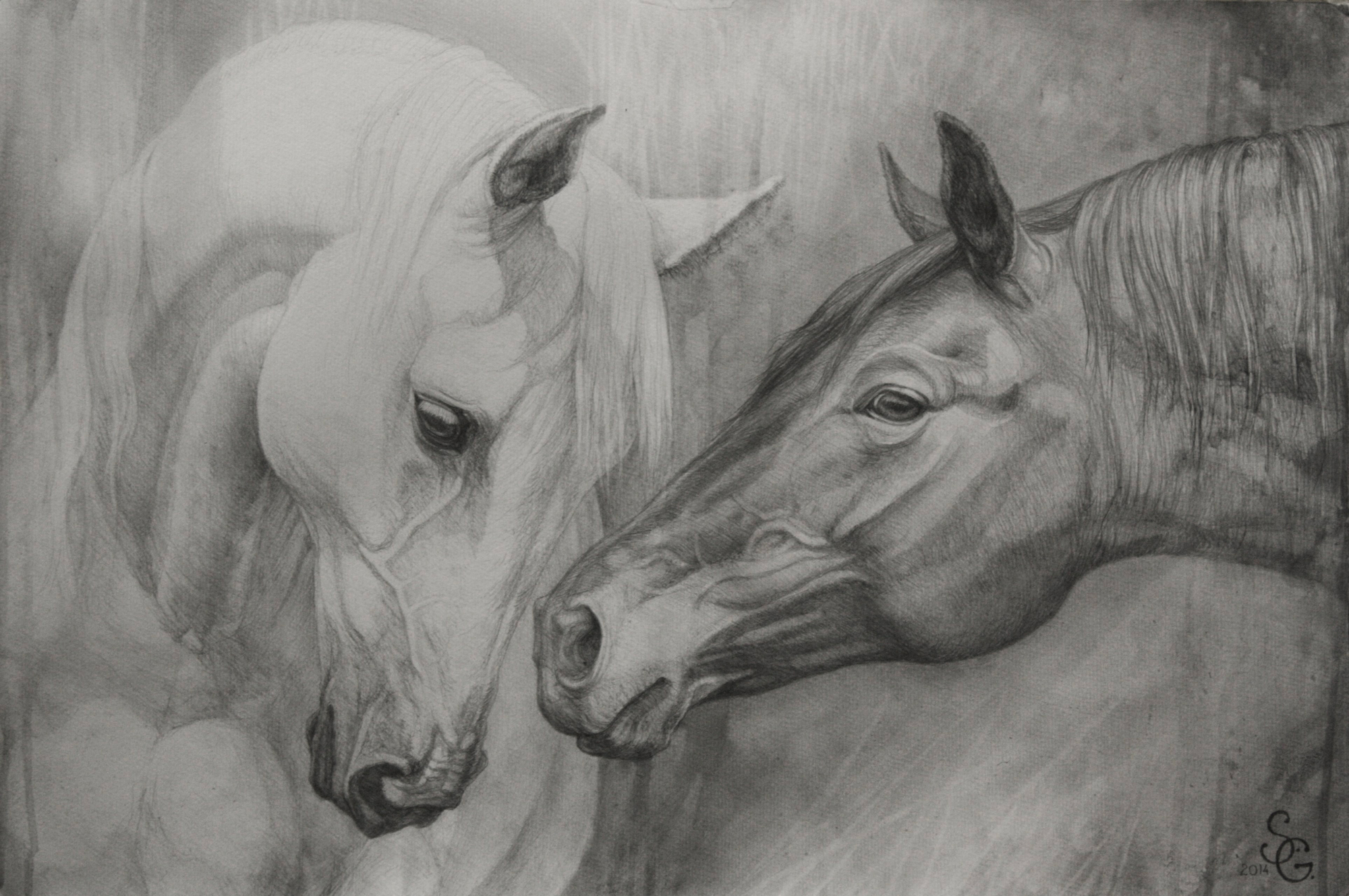 conversation-iii-silvana-gabudean_2000B